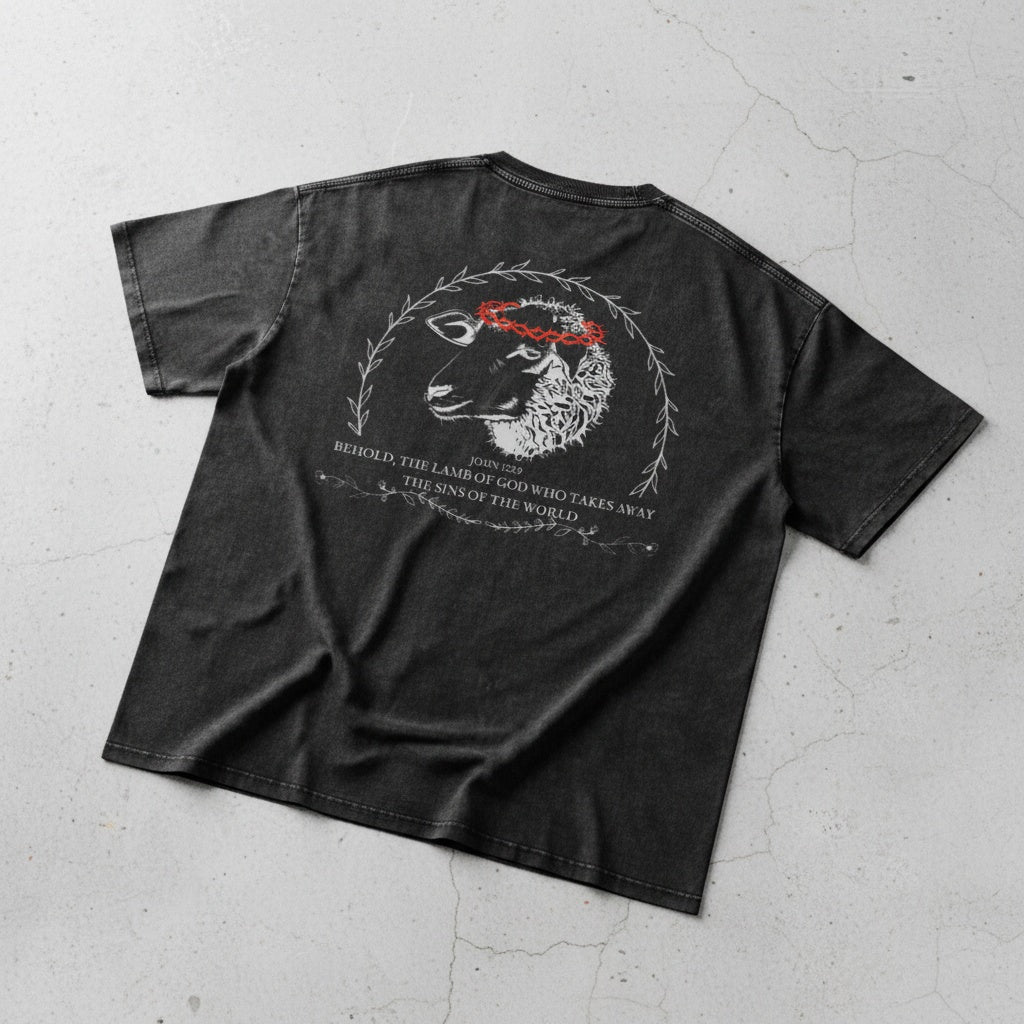 Behold - Stone washed baggy T shirt